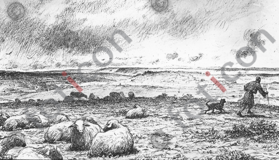 Gleichnis vom verlorenen Schaf | Parable of the Lost Sheep - Foto foticon-simon-132034-sw.jpg | foticon.de - Bilddatenbank für Motive aus Geschichte und Kultur